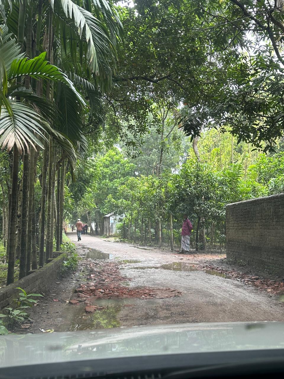 Picture of গ্রামের রাস্তা মেরামত